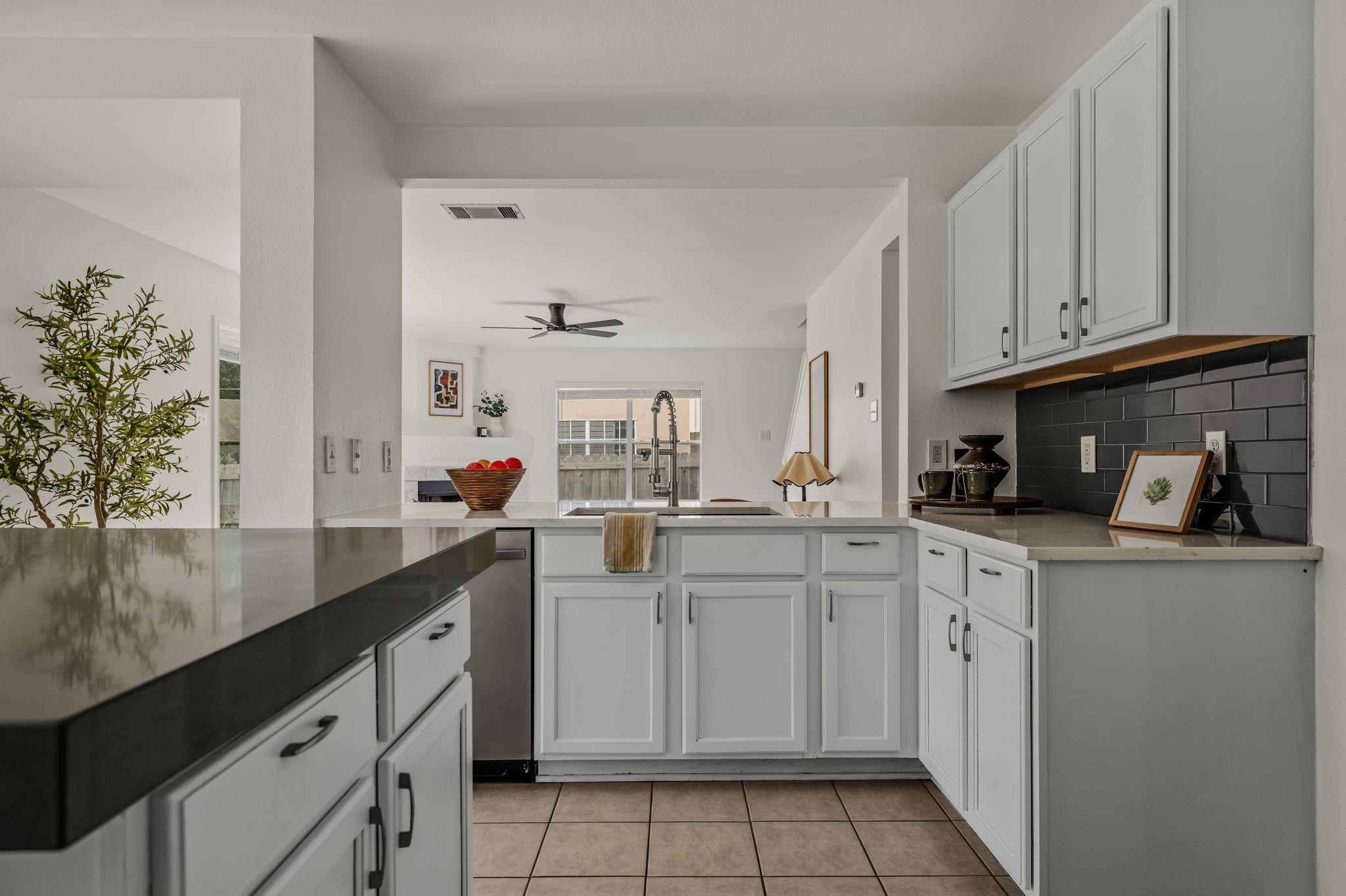 1408 Water Spaniel WAY, Round Rock TX 78664