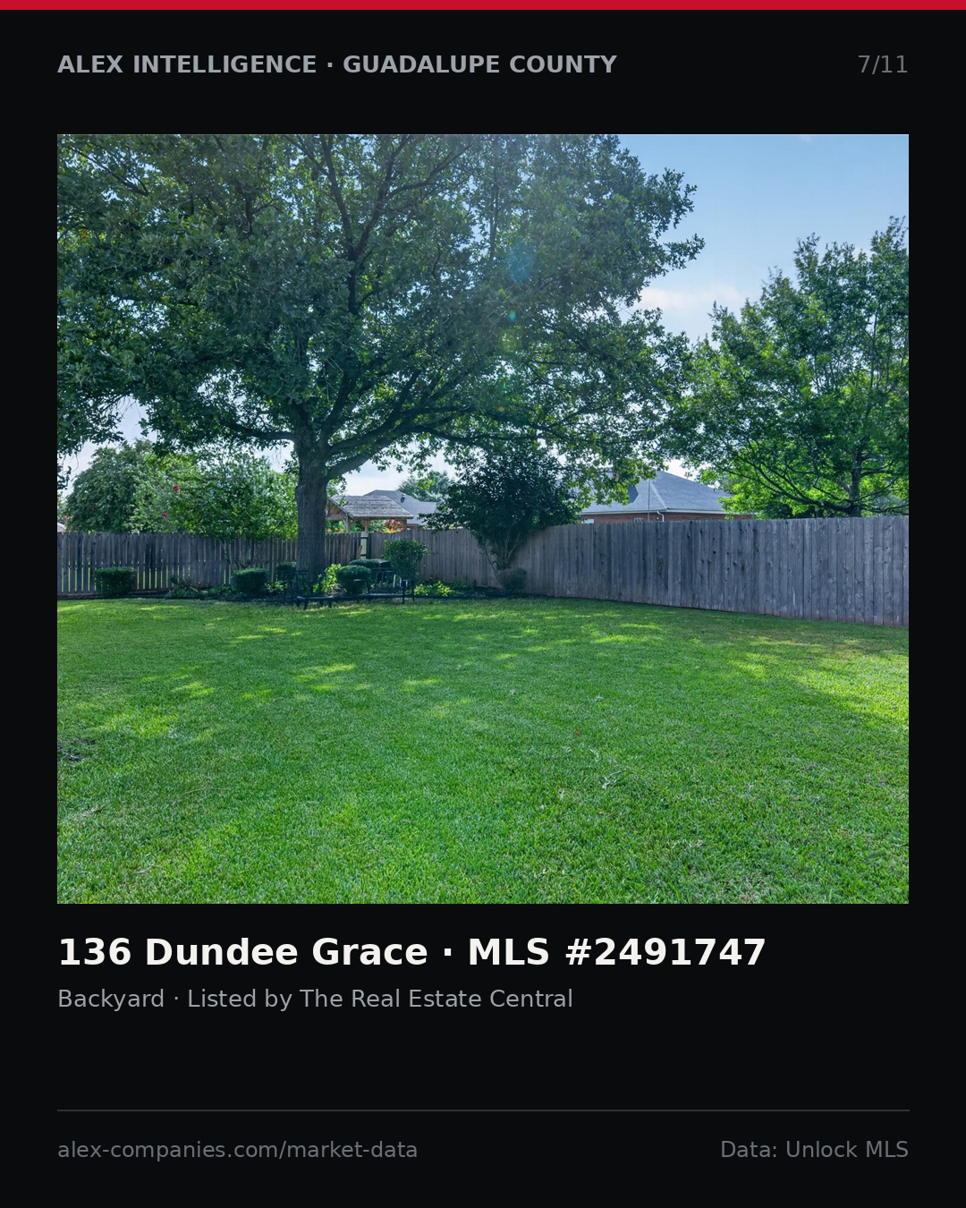 Slide 7