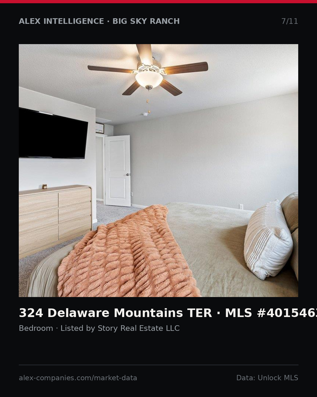 Slide 7