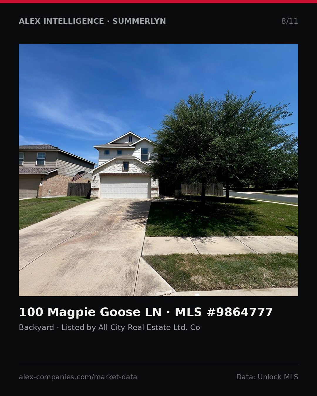Slide 8