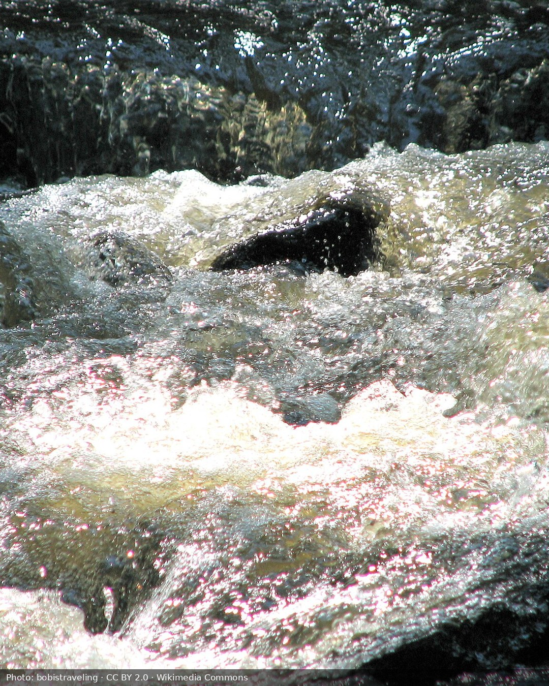Slide 3