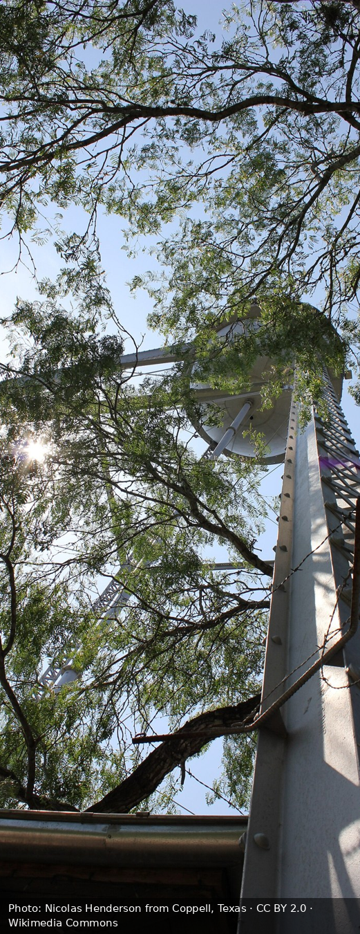 Slide 4