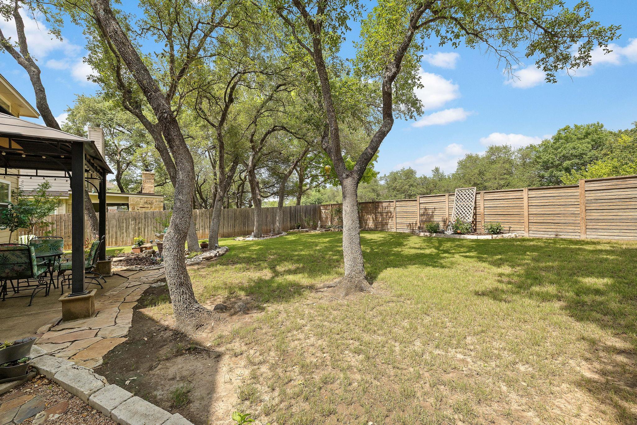 1111 Dalea Blf: back yard