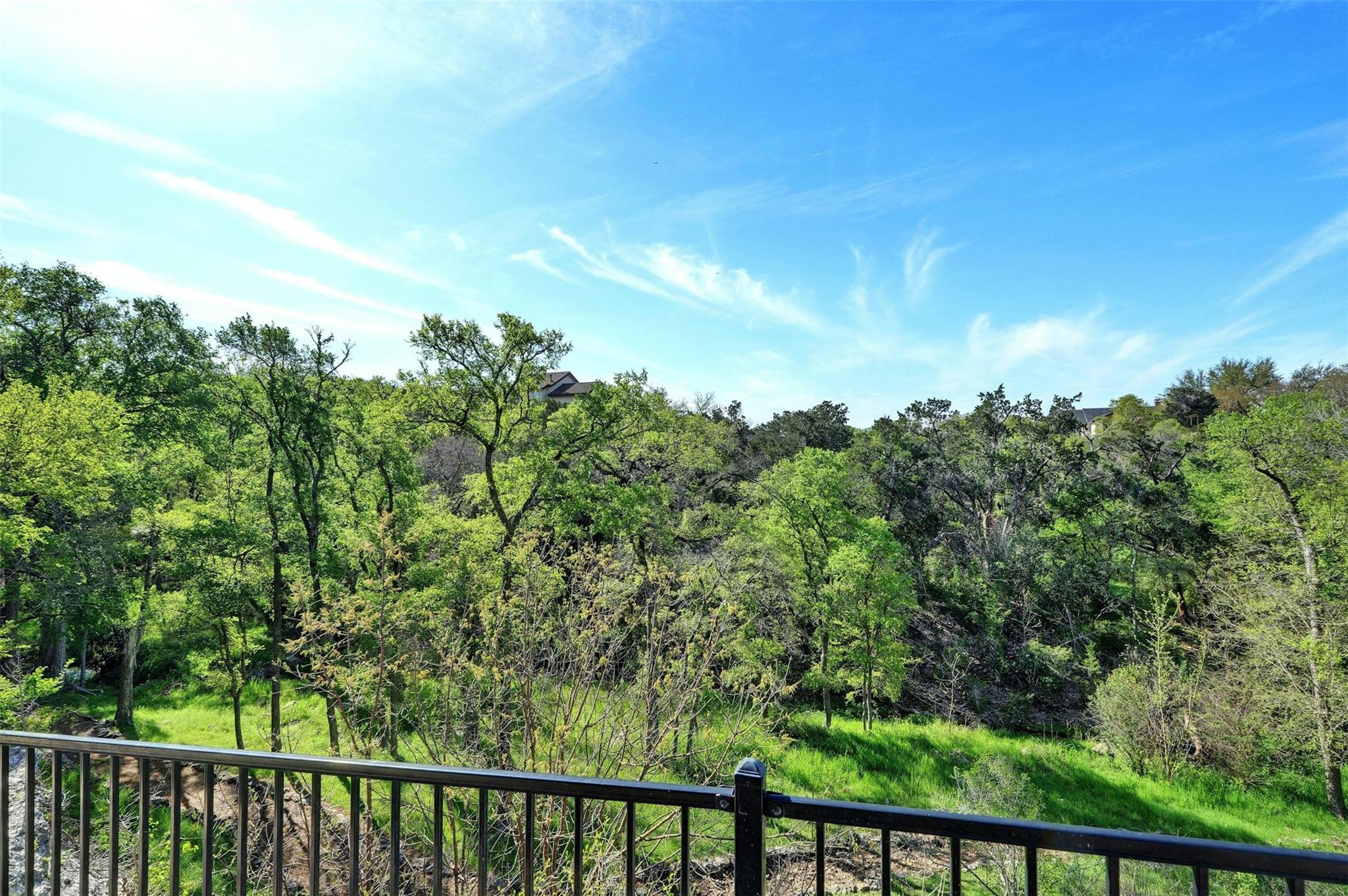 2600 Grapevine Springs Cv: back yard