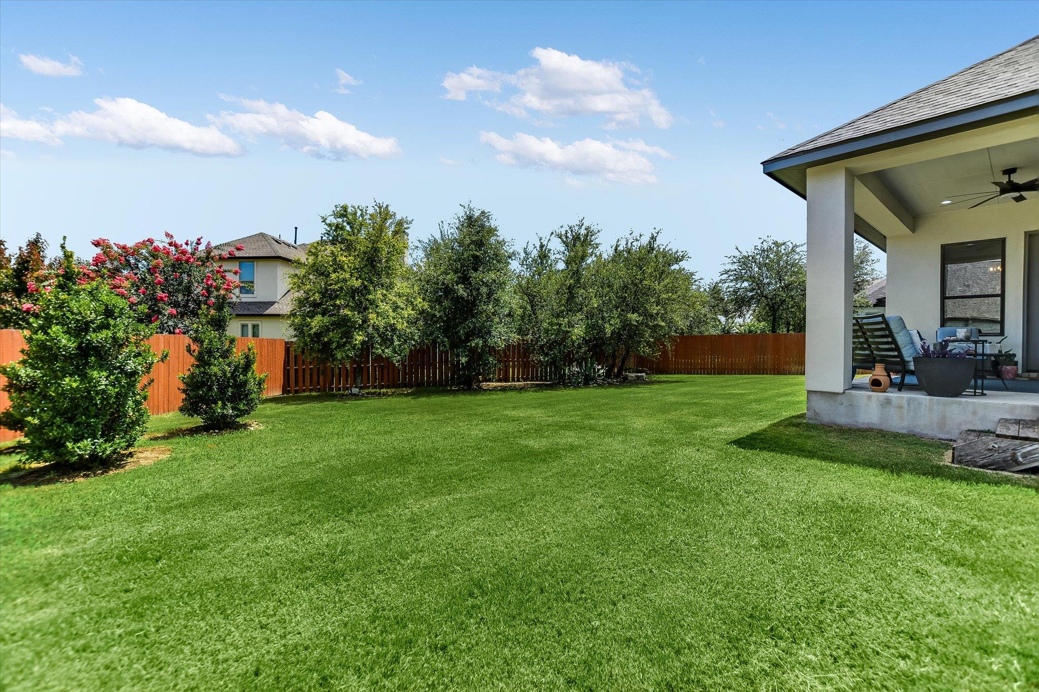 205 Axis Loop: back yard