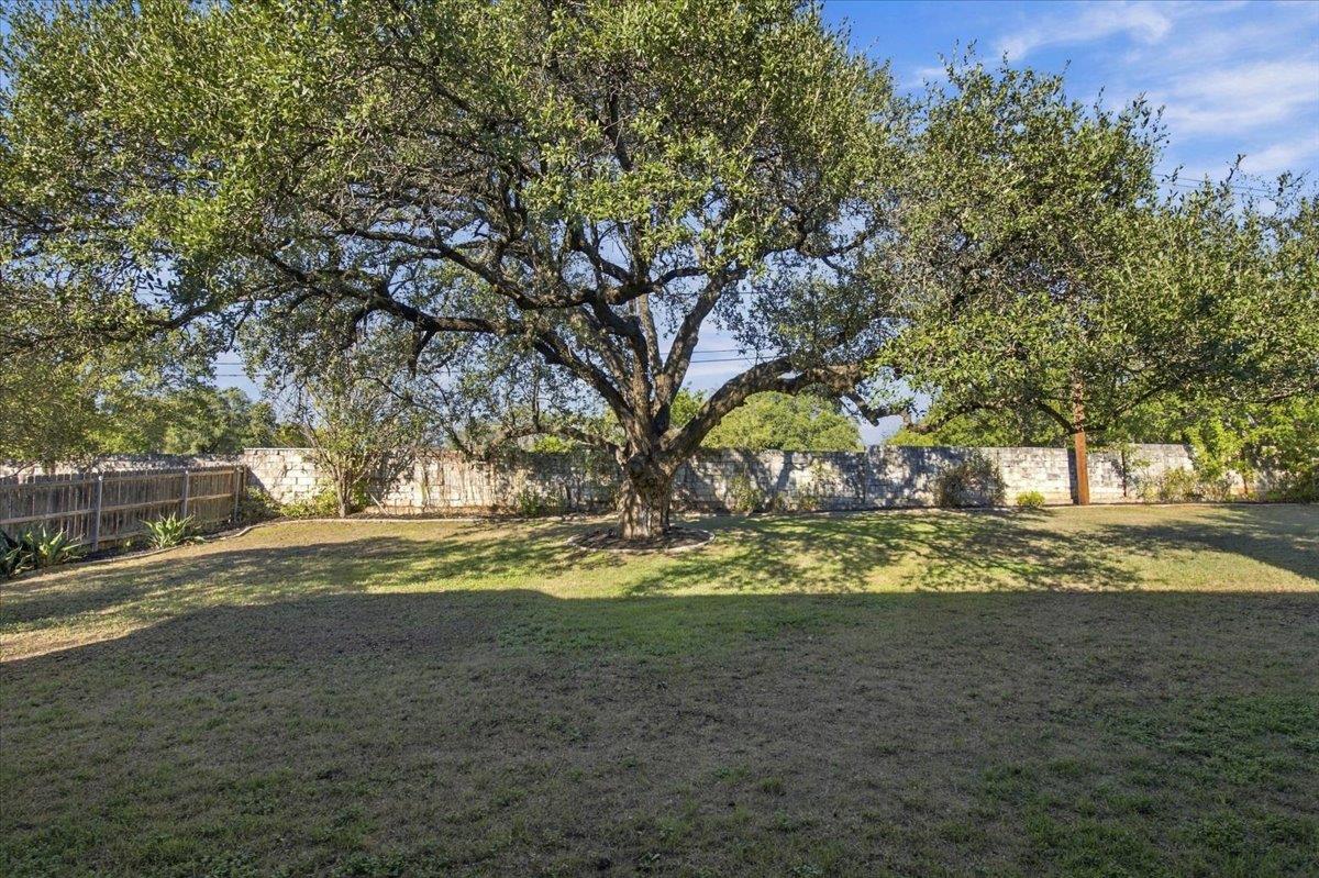2708 Springwood Lane: back yard