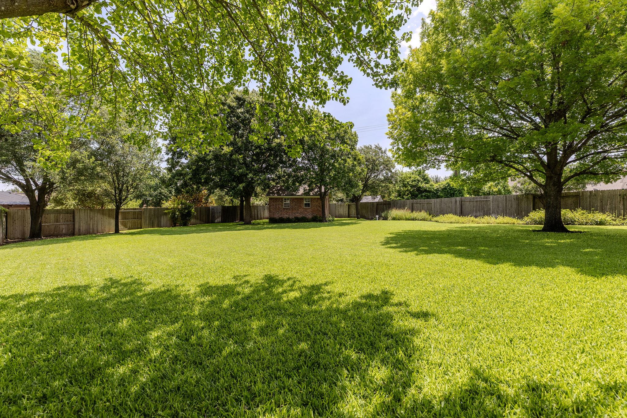 3807 Cypress Point Cv: back yard